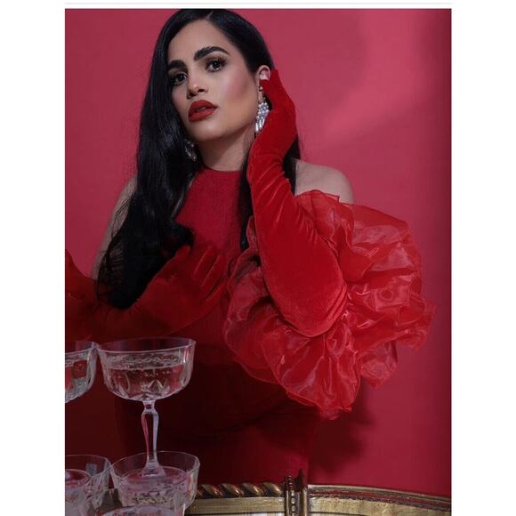 New Red‎ Velvet Opera Evening Gloves Large Tulle Puffs Vintage Style Long Formal - Picture 2 of 5